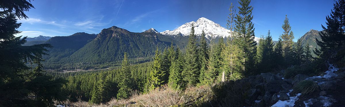 Mt. Rainier Scenic Landscape Mount Rainier scenic view with wildflowers and pine trees